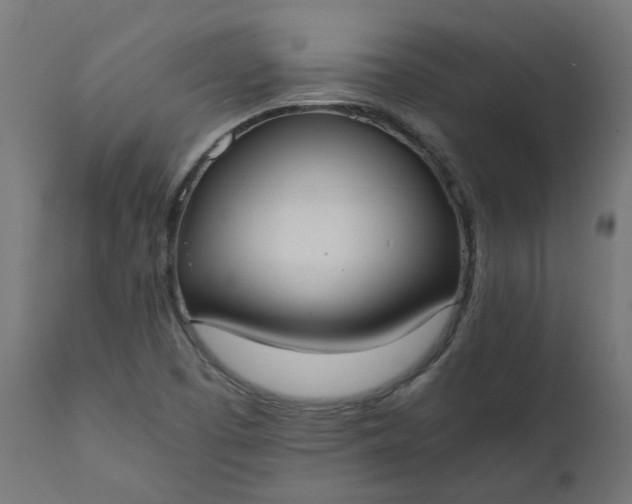 X0000111501457200907281240