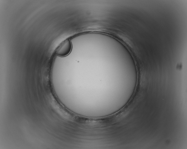 X0000111501458200907281240