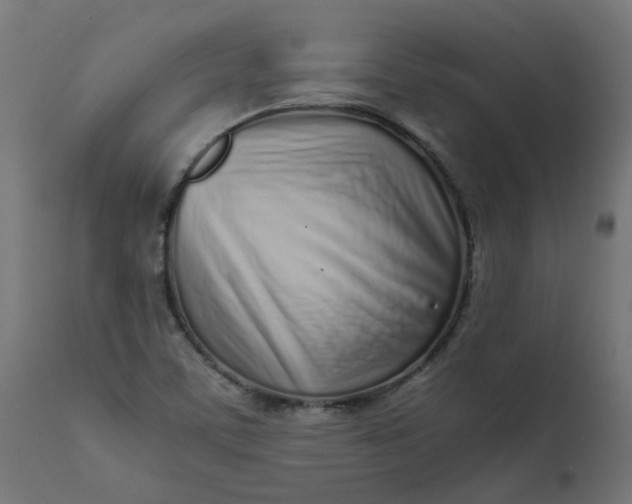 X0000111501459200907281240