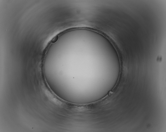 X0000111501460200907281240