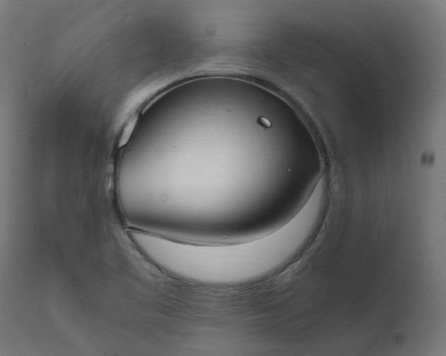 X0000111501461200907281240