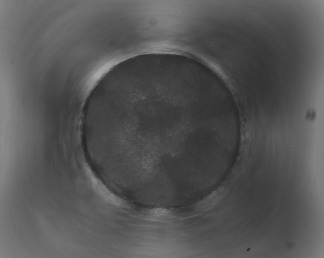 X0000111501463200907281240