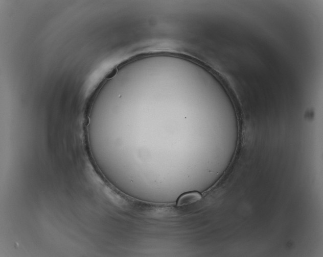 X0000111501464200907281240