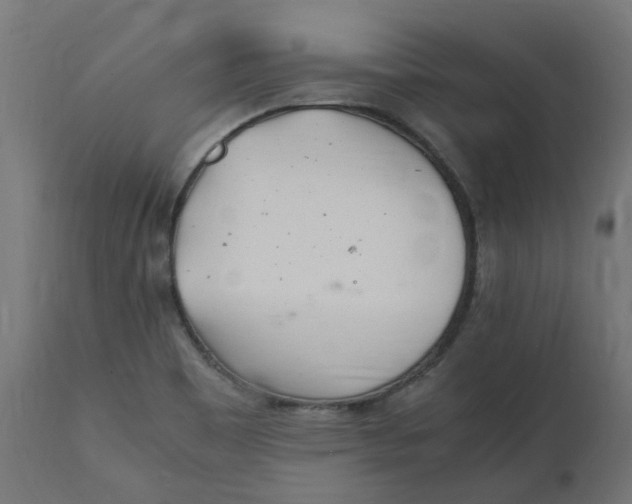 X0000111501465200907281240