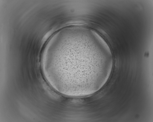 X0000111501466200907281240