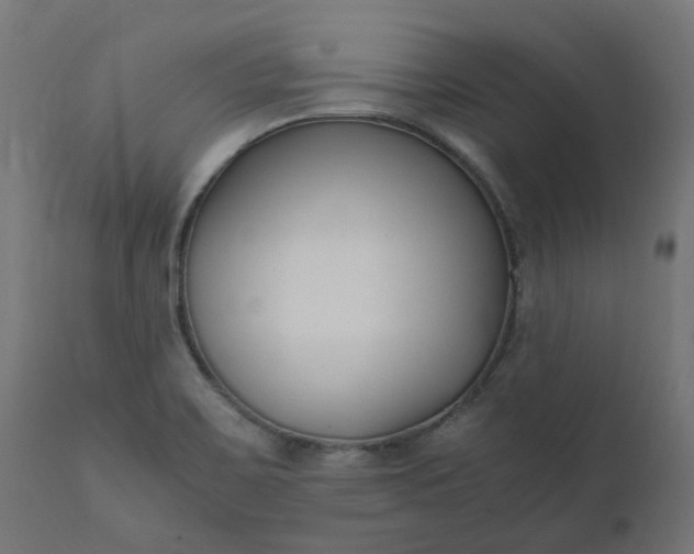 X0000111501467200907281240