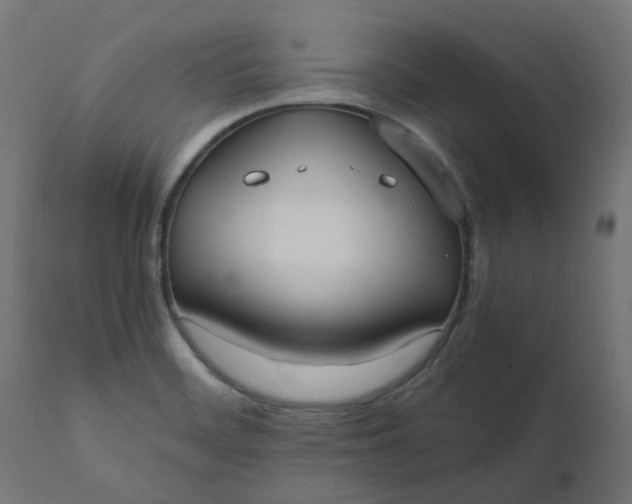 X0000111501468200907281240