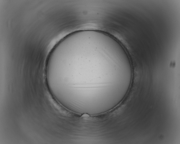 X0000111501469200907281240