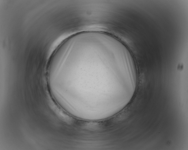 X0000111501470200907281240