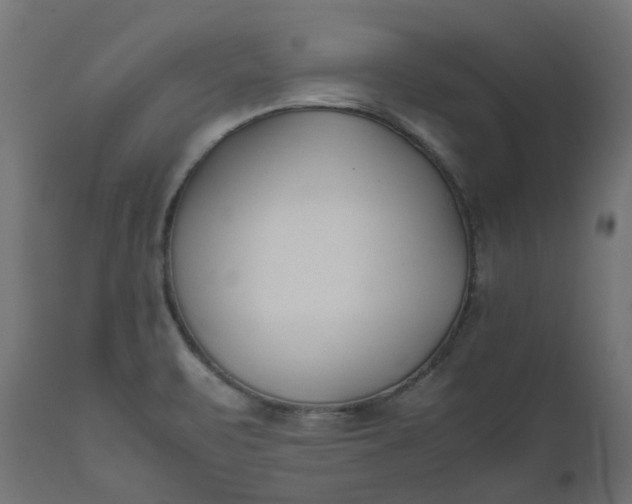 X0000111501471200907281240