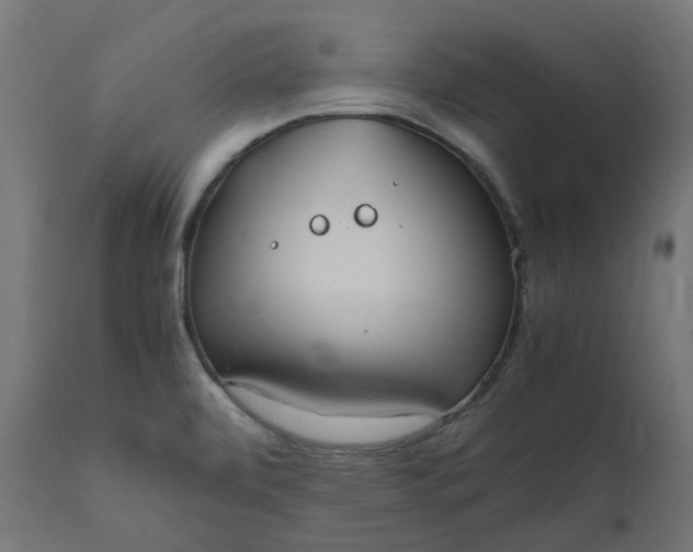 X0000111501472200907281240