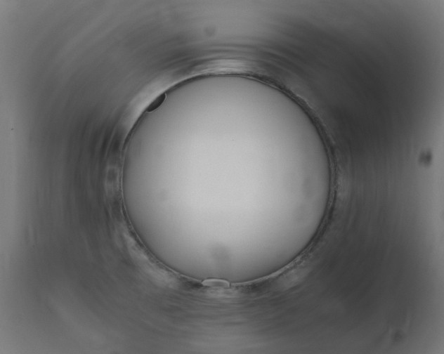 X0000111501473200907281240