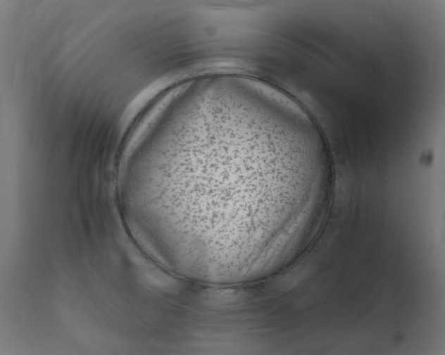 X0000111501474200907281240