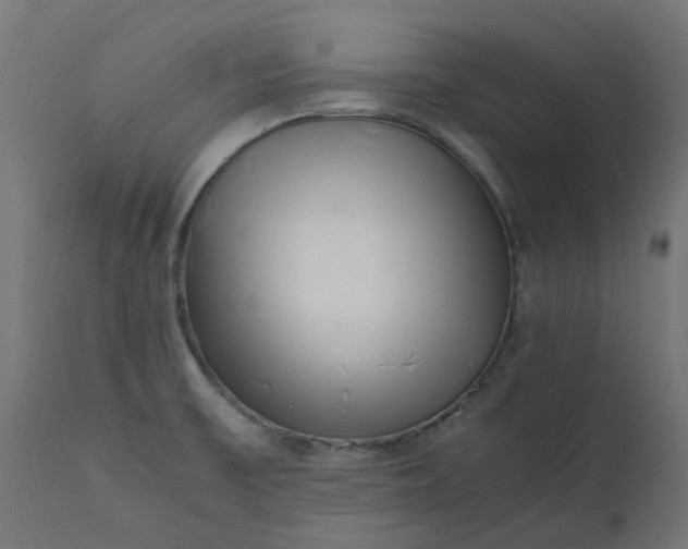 X0000111501475200907281240