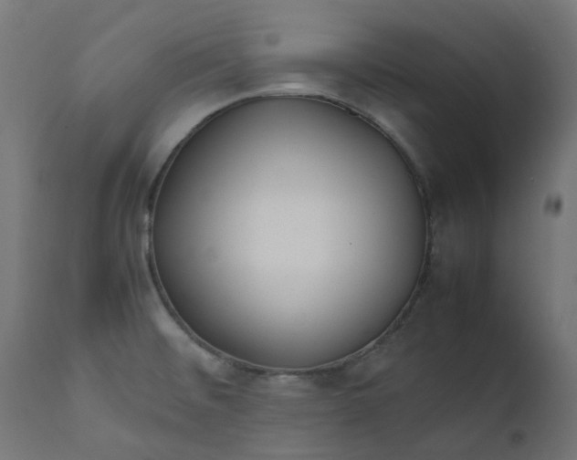 X0000111501476200907281240