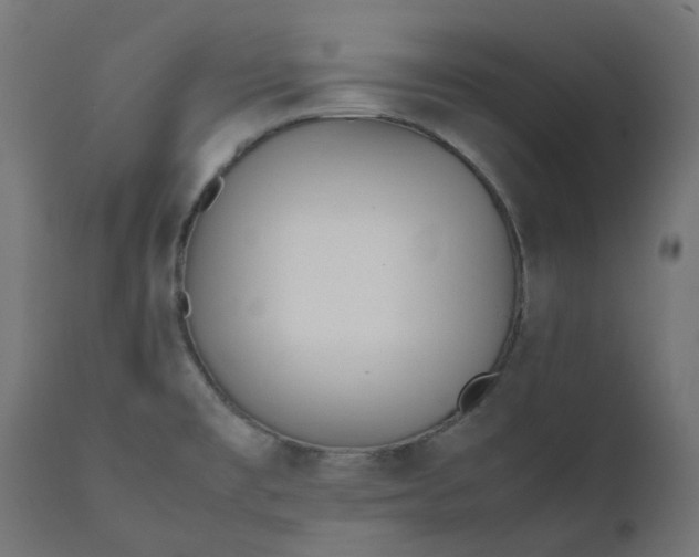 X0000111501477200907281240