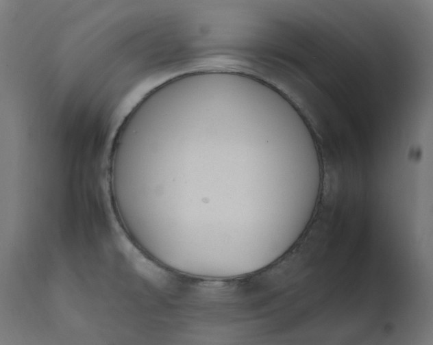 X0000111501478200907281240