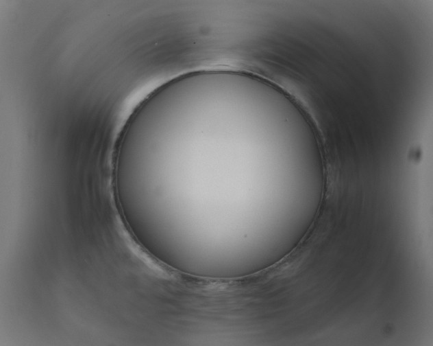 X0000111501480200907281240