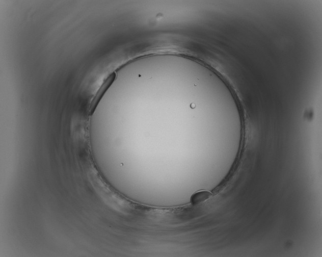 X0000111501481200907281240