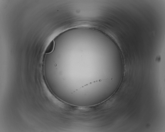 X0000111501483200907281240