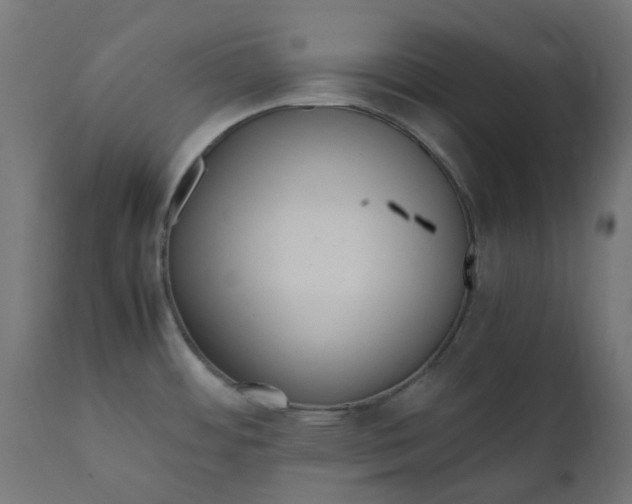 X0000111501484200907281240