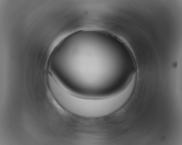 X0000111501485200907281240