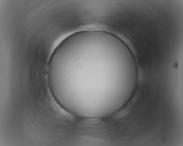 X0000111501486200907281240