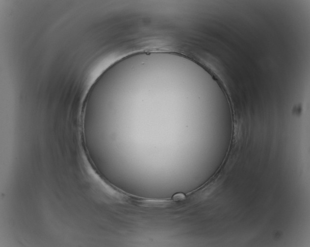 X0000111501487200907281240