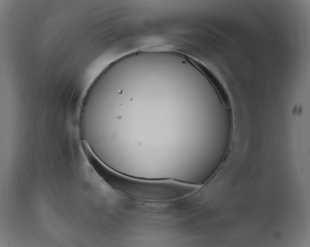 X0000111501488200907281240