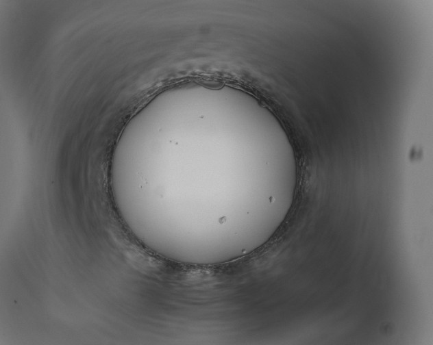 X0000111501489200907281239