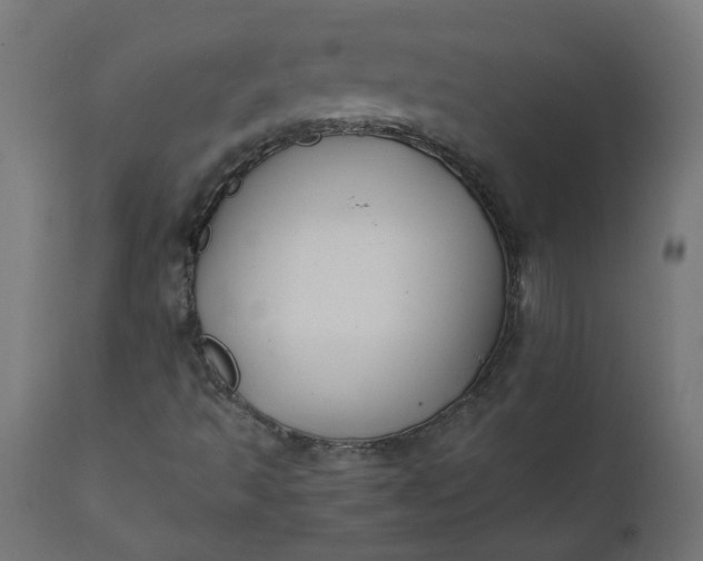 X0000111501493200907281239