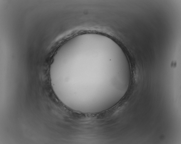 X0000111501494200907281239