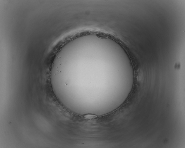 X0000111501495200907281239