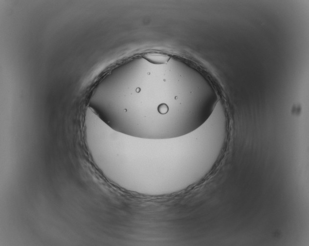 X0000111501496200907281239