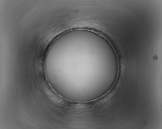 X0000111501497200907281239