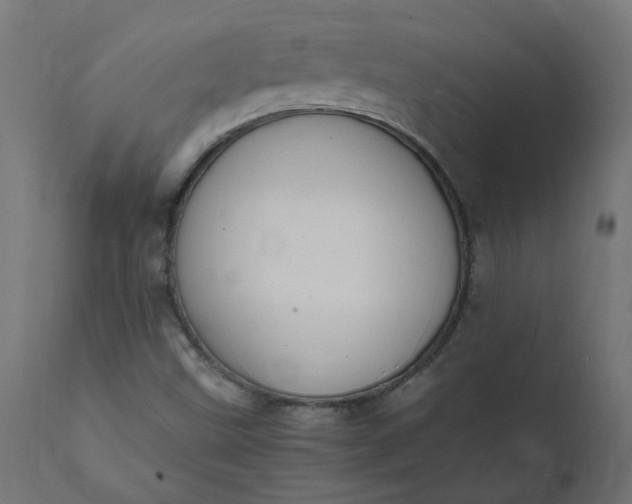 X0000111501499200907281239