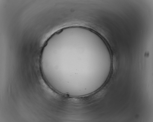 X0000111501500200907281239