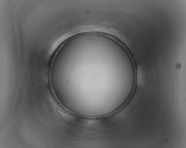 X0000111501501200907281239