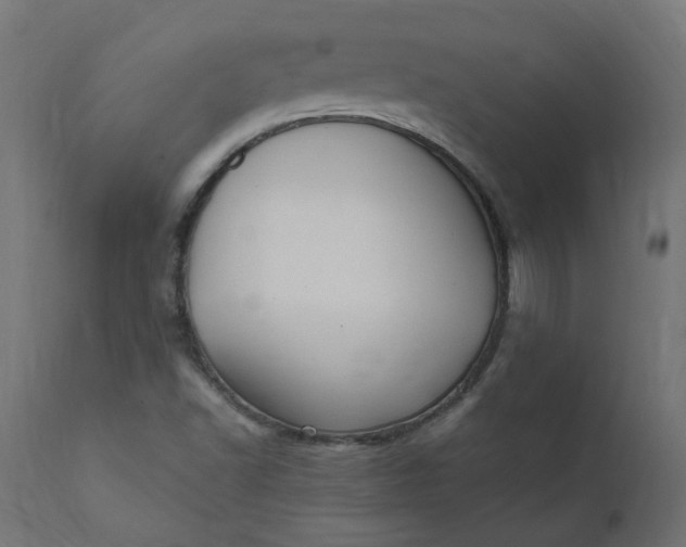 X0000111501502200907281239