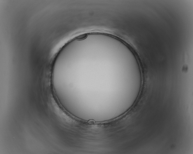 X0000111501504200907281239