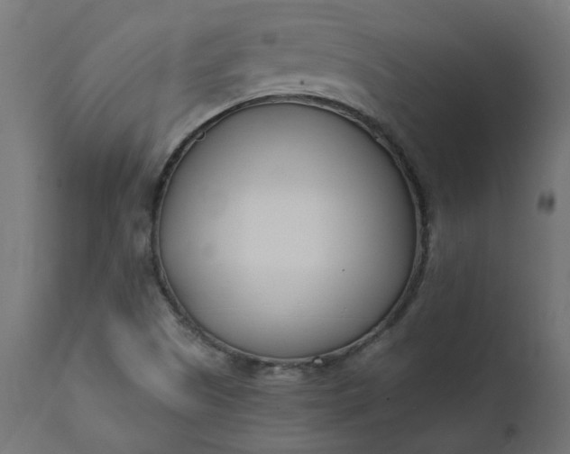 X0000111501505200907281239