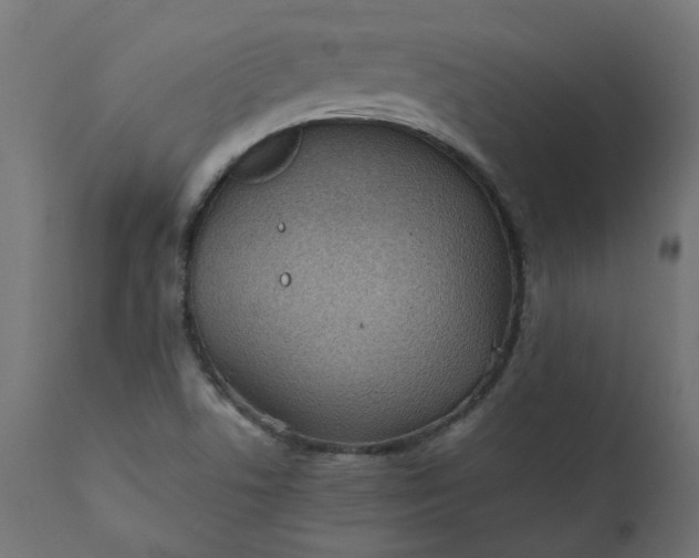 X0000111501506200907281239