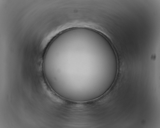 X0000111501507200907281239