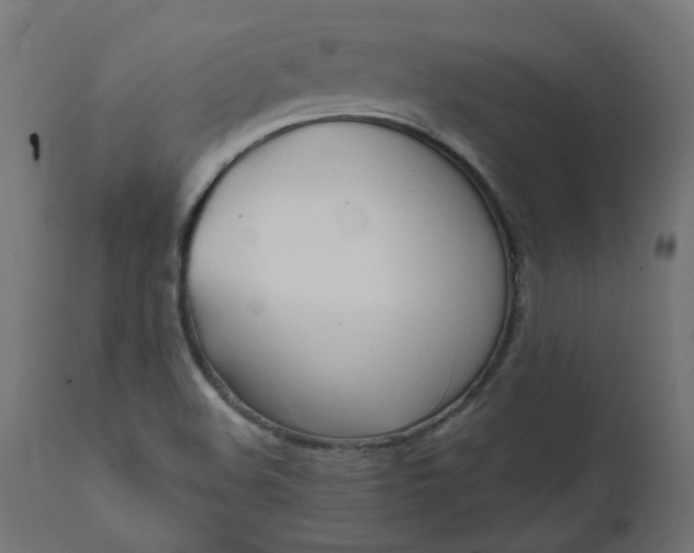 X0000111501508200907281239