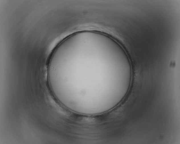 X0000111501509200907281239