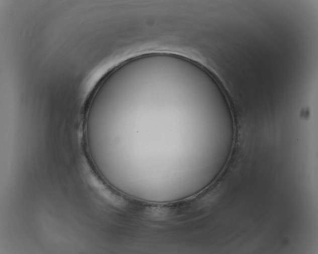 X0000111501511200907281239