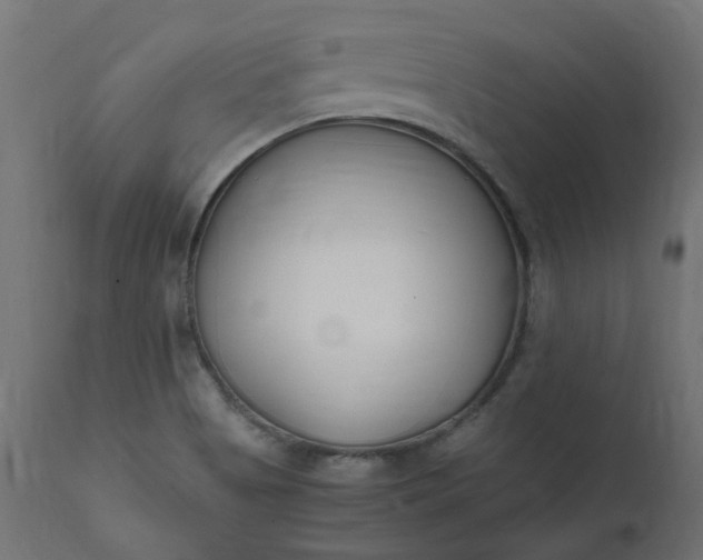 X0000111501513200907281239