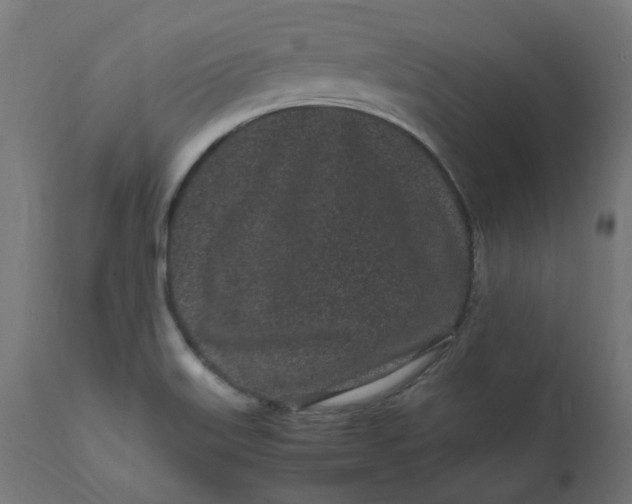 X0000111501515200907281239