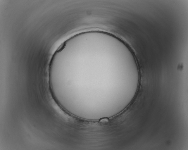 X0000111501516200907281239