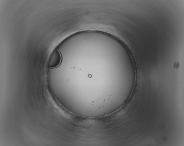 X0000111501517200907281239